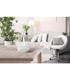 SAION - Vase